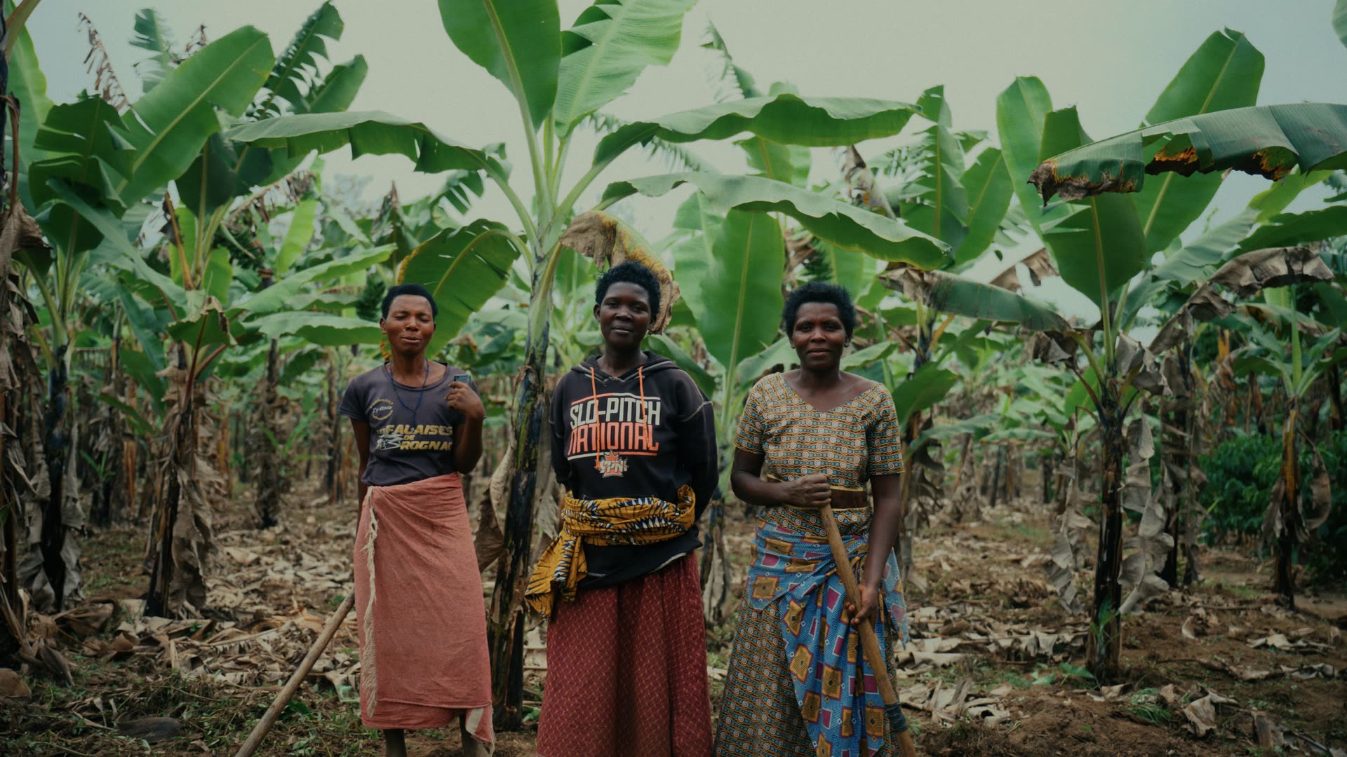 Drei Bäuerinnen stehen zwischen den Stauden einer Bananenplantage in Uganda.